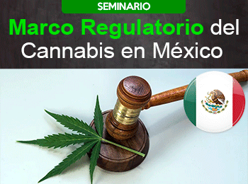 Marco Regulatorio del Cannabis en México